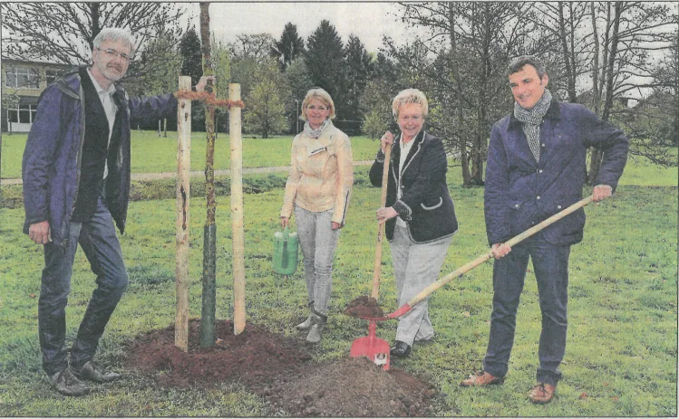 Pieron sponsoring the Tree of the Year in Bocholt, 2015